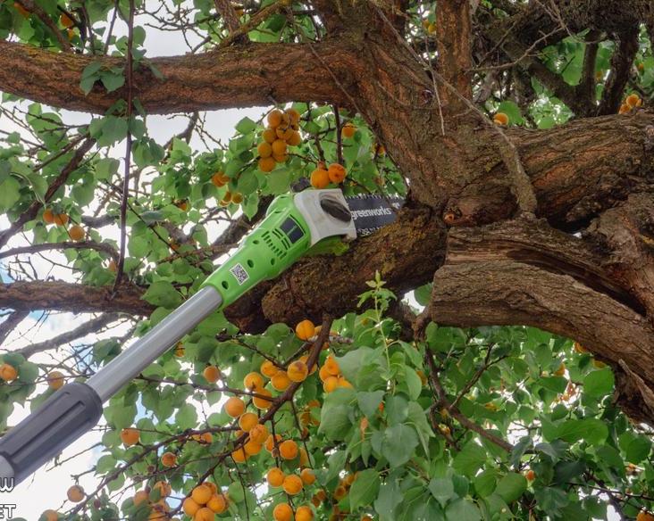 Опиливаем деревья с безопасного расстояния.</p>
<p>Обзор высотореза greenworks g24ps20