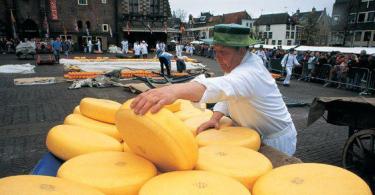 Сыр голландский для похудения – полезные свойства и калорийность