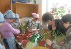 Интересное о растениях для детей Интересный рассказ о красоте растений