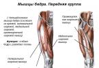 Растяжение мышц бедра: симптомы, лечение и профилактика