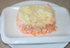 Kako napraviti ukusnu salatu od šargarepe i belog luka Šargarepa sa belim lukom i majonezom