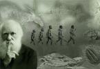 Kako smo nastali od majmuna: Darwinova teorija ljudskog porijekla