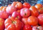 Ako vyrobiť paradajkovú šťavu z paradajok na zimu doma Príprava paradajkovej šťavy bez odšťavovača doma