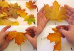 DIY kvety z listov stromov: majstrovská trieda s fotografiami krok za krokom