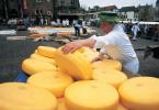 Сыр голландский для похудения – полезные свойства и калорийность