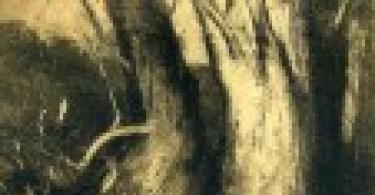 Odilon Redon e il suo simbolismo oscuro Descrizione del ragno Odilon Redon del dipinto